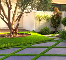 Artificial Grass
