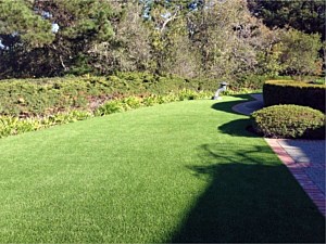 Artificial Turf installed North Plano