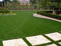 Artificial Grass